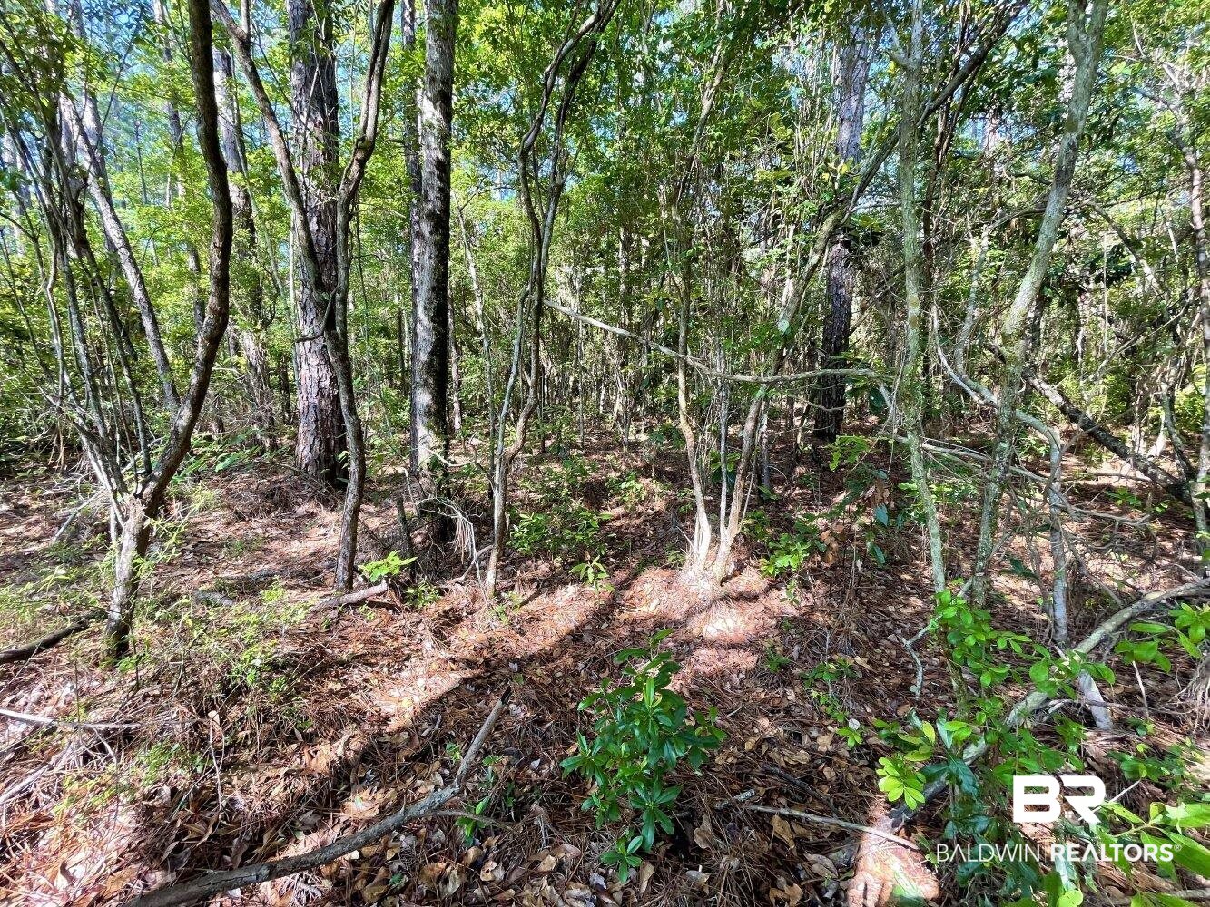 0 Bellingrath Road Coden, AL 36523 - Photo 8 of 11