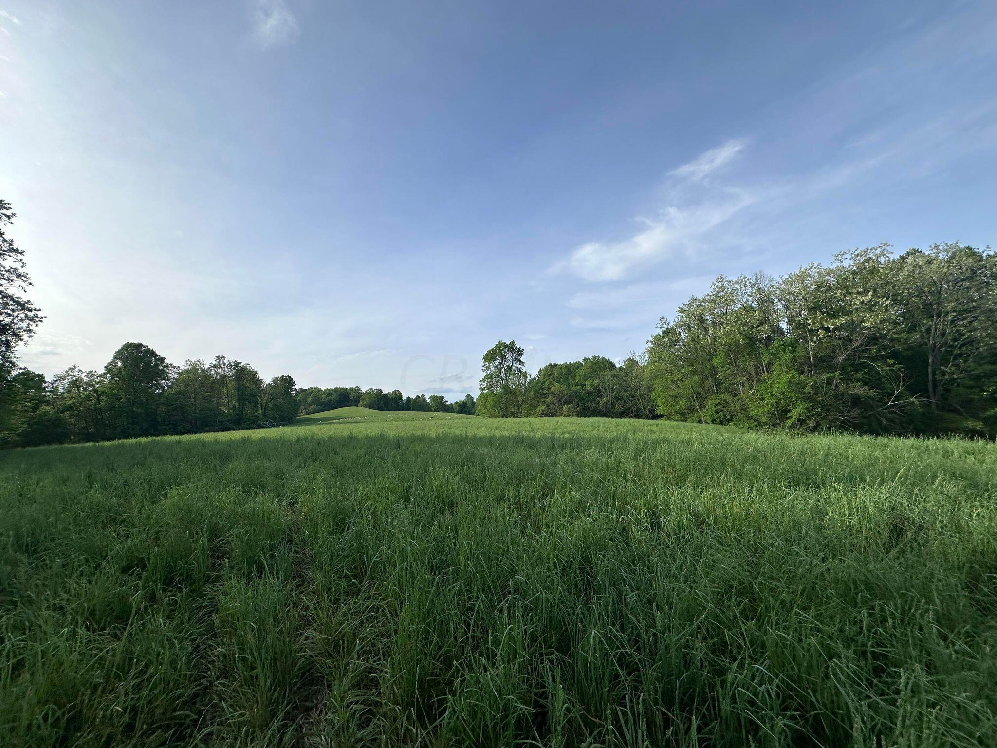 5159 Barr Road McConnelsville, OH 43756 - Photo 7 of 80 Field