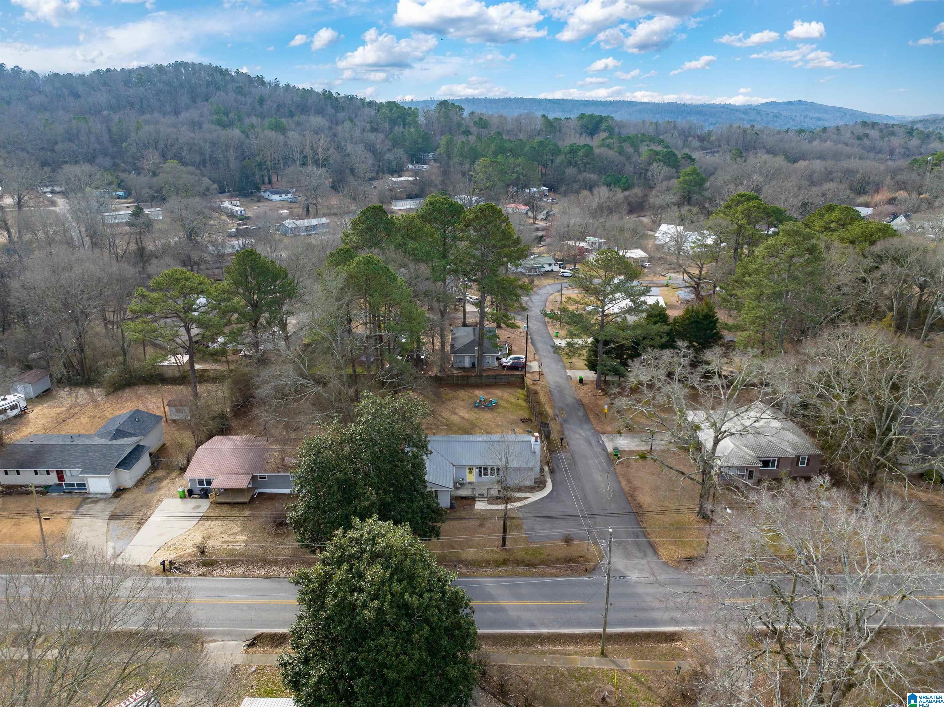 21 Bruce Street Springville, AL 35146 - Photo 31 of 43