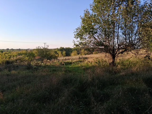 $90,000 | Lt0 East Neda Road, Hubbard, WI 53035