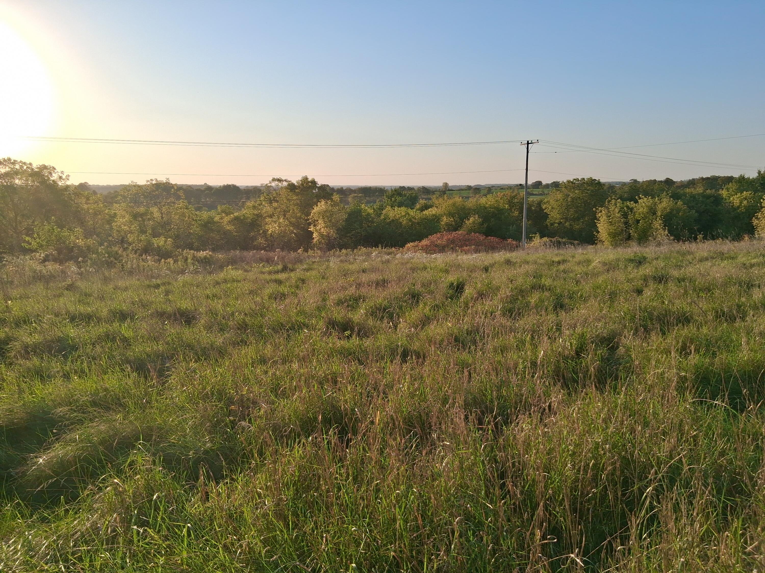 Lt0 East Neda Road Hubbard, WI 53035 - Photo 2 of 8 looking to west