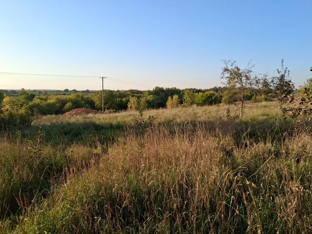 $90,000 | Lt0 East Neda Road, Hubbard, WI 53035