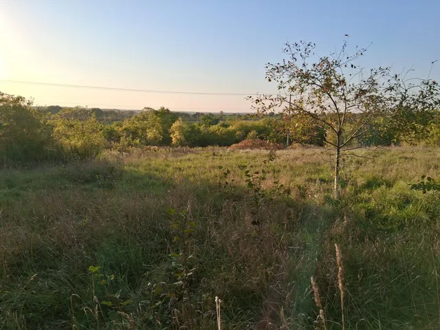 $90,000 | Lt0 East Neda Road, Hubbard, WI 53035