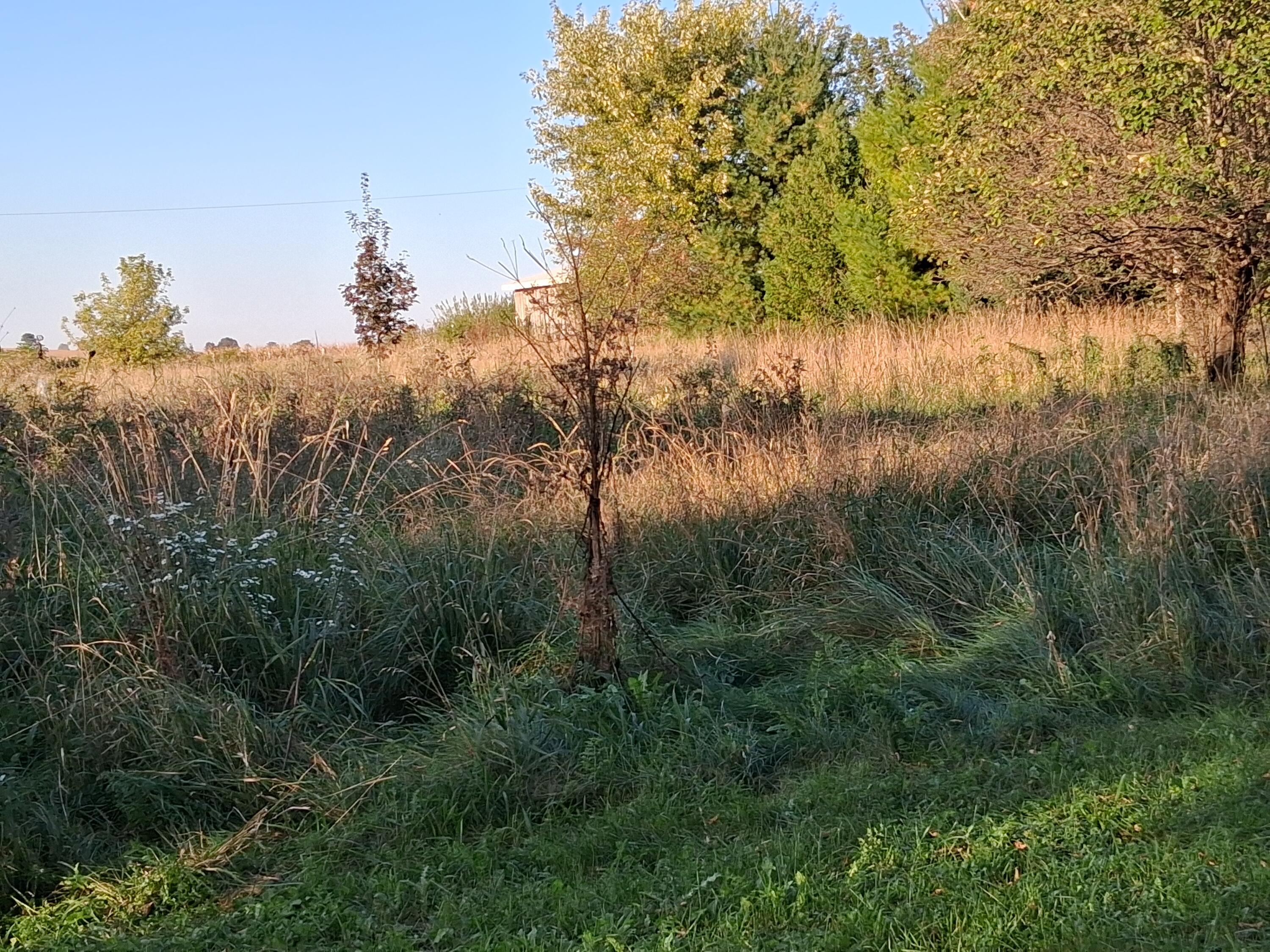 Lt0 East Neda Road Hubbard, WI 53035 - Photo 5 of 8 lot