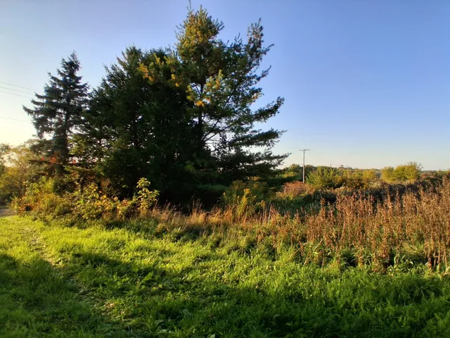 $90,000 | Lt0 East Neda Road, Hubbard, WI 53035