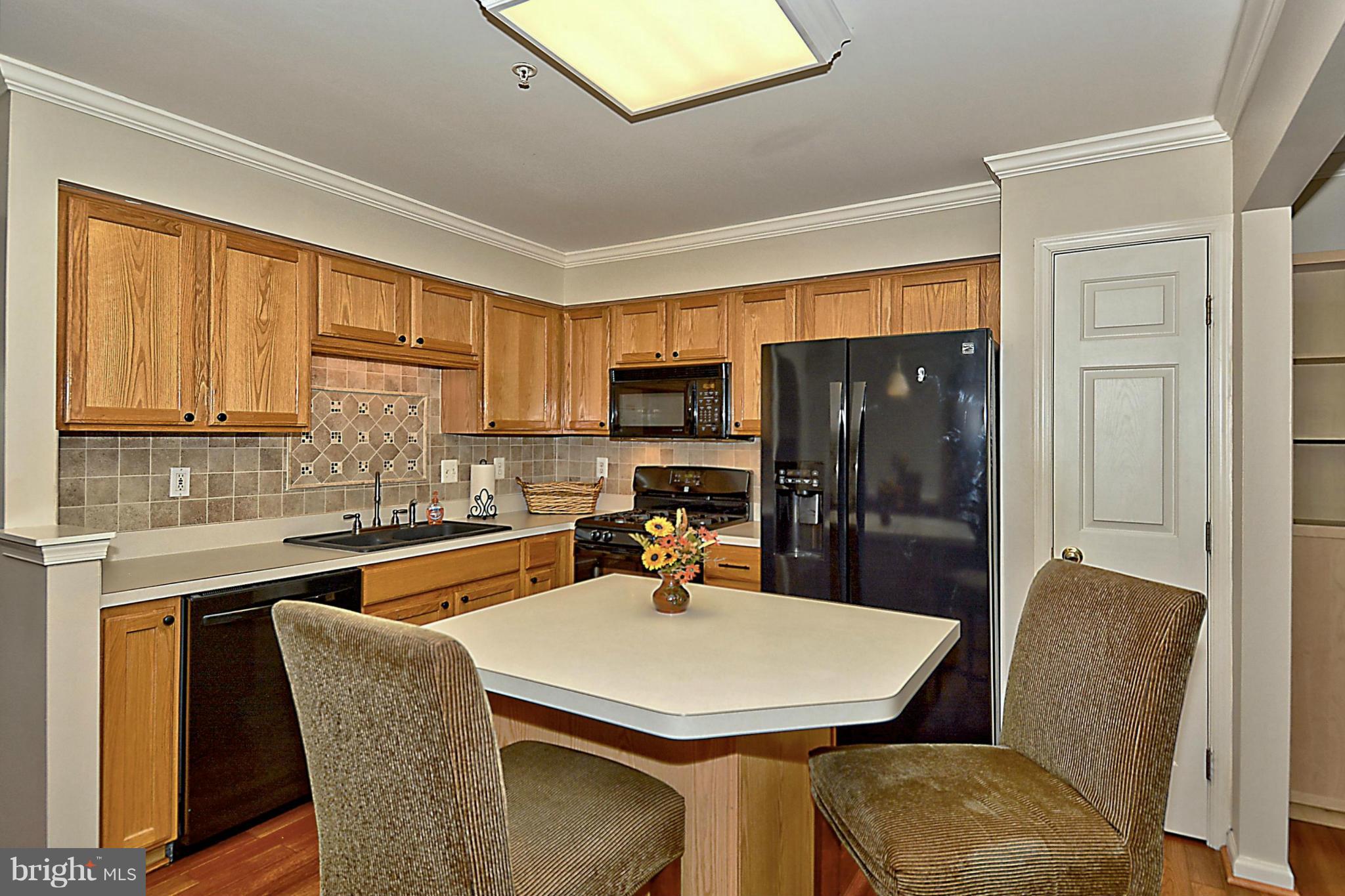 4617 Ripley Manor Terrace Olney, MD 20832 - Photo 8 of 18 Kitchen