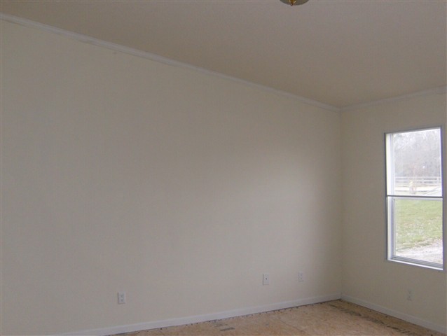 532 Durbin Ridge Fountain Inn, SC 29644 - Photo 12 of 25 Gallery Image 12