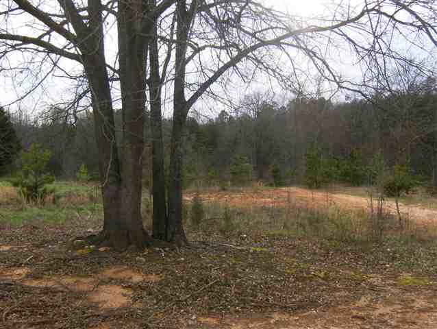 532 Durbin Ridge Fountain Inn, SC 29644 - Photo 19 of 25 Gallery Image 19