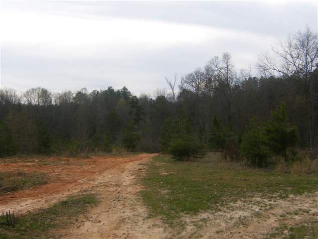 532 Durbin Ridge Fountain Inn, SC 29644 - Photo 20 of 25 Gallery Image 20