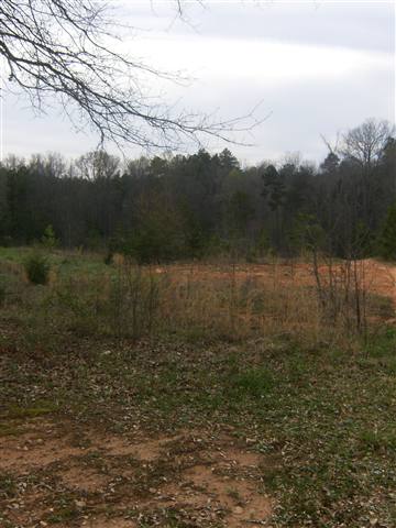 532 Durbin Ridge Fountain Inn, SC 29644 - Photo 21 of 25 Gallery Image 21