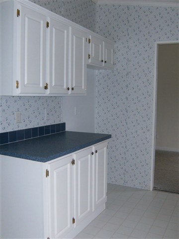 532 Durbin Ridge Fountain Inn, SC 29644 - Photo 8 of 25 Gallery Image 8