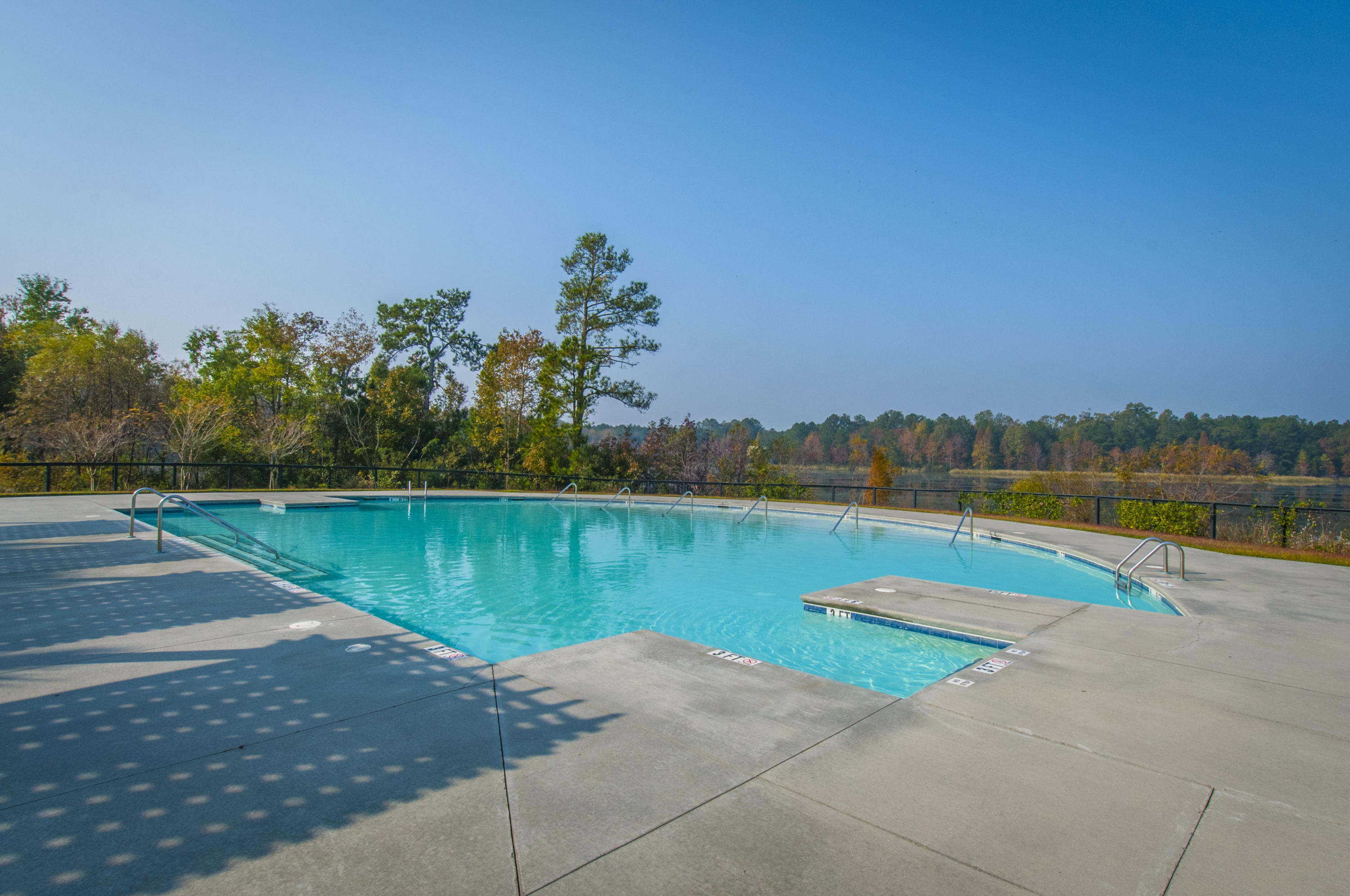 111 Springbank Court Moncks Corner, SC 29461 - Photo 40 of 47 _DSC6036