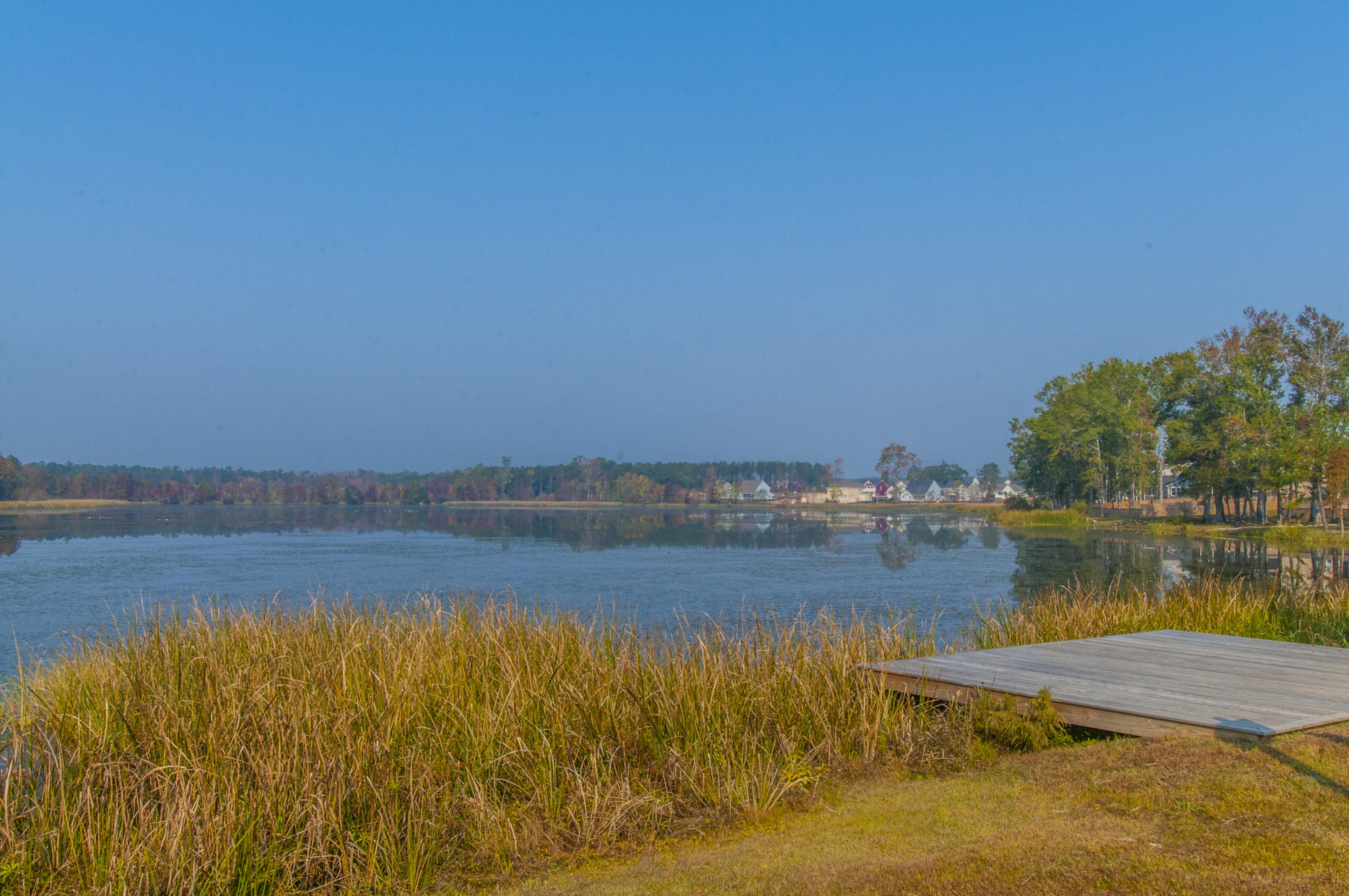 111 Springbank Court Moncks Corner, SC 29461 - Photo 42 of 47 _DSC6038