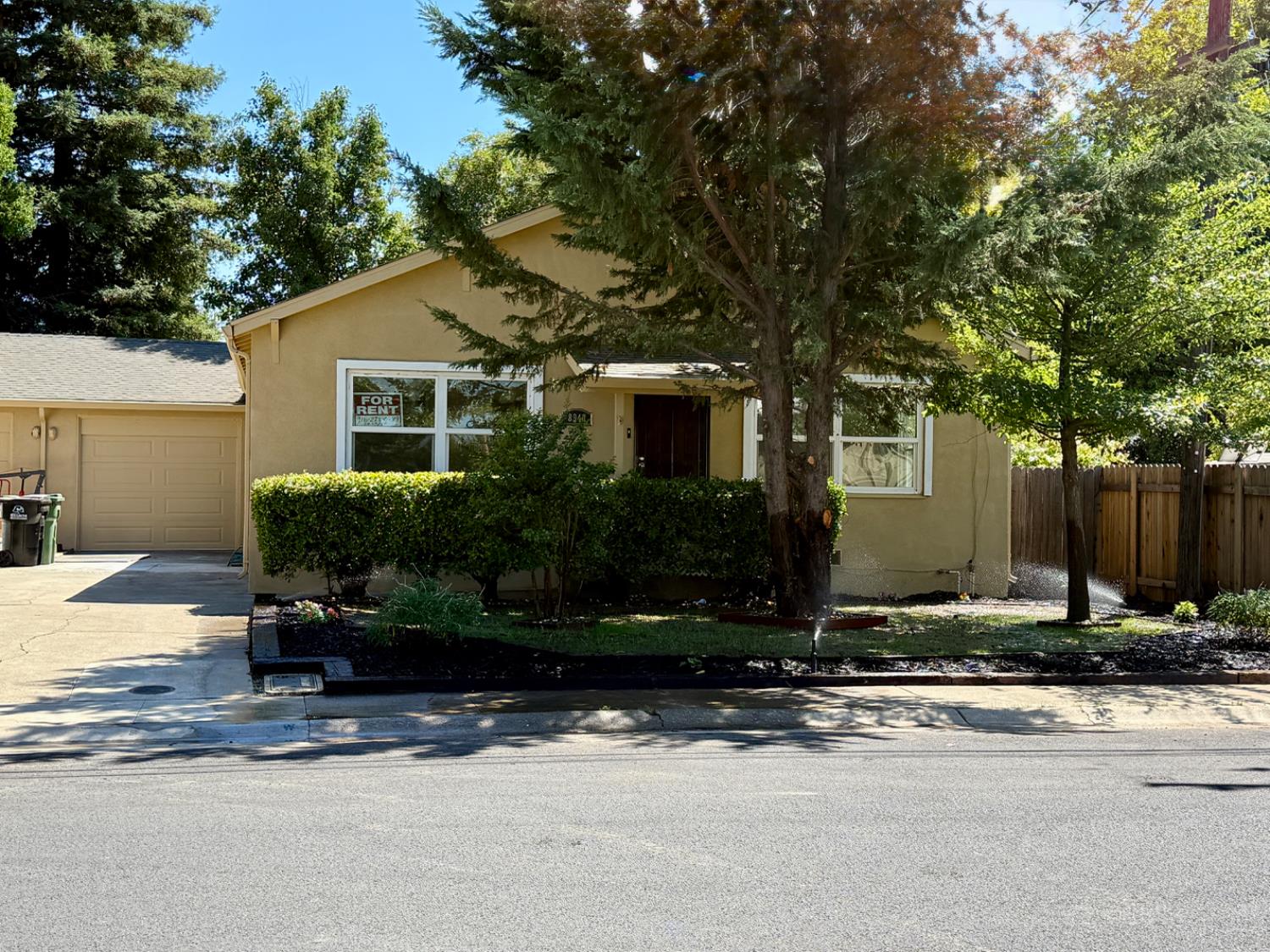 8940 Eva Avenue Elk Grove, CA 95624 - Photo 1 of 2 a front view of a house with a yard and tree