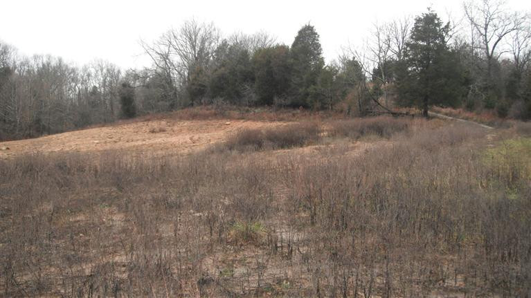 62 Owenton Road Stamping Ground, KY 40379 - Photo 14 of 19 The road leading back up to the front of