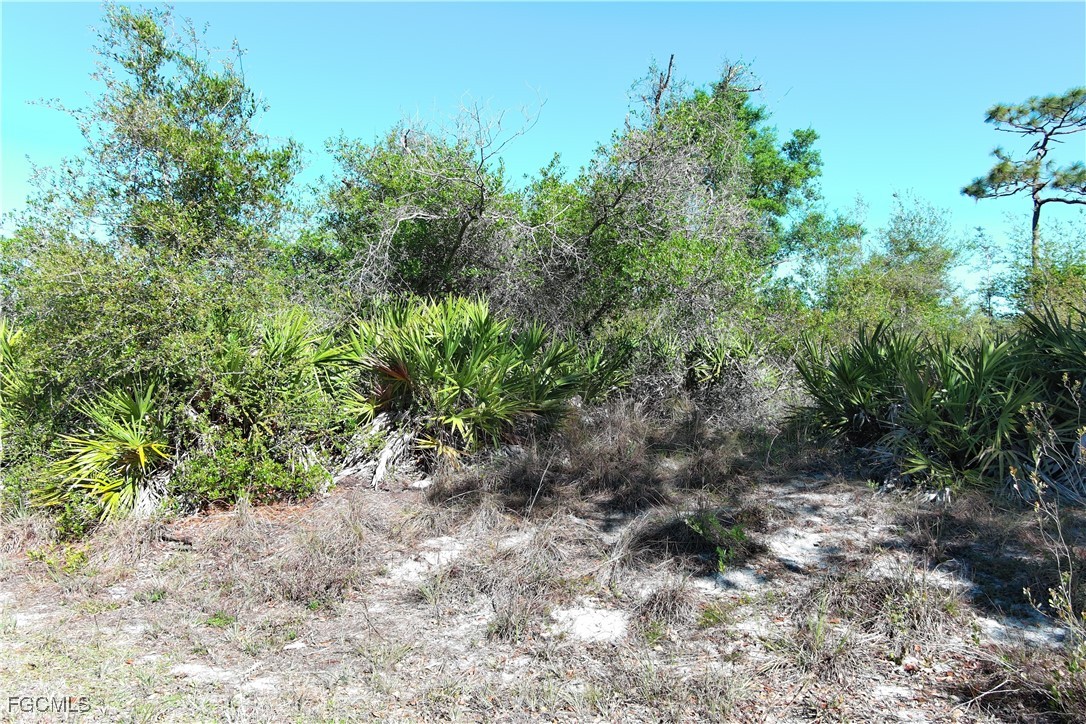 29242 Defiance Avenue Punta Gorda, FL 33982 - Photo 3 of 4 a view of a yard with plants and a bench