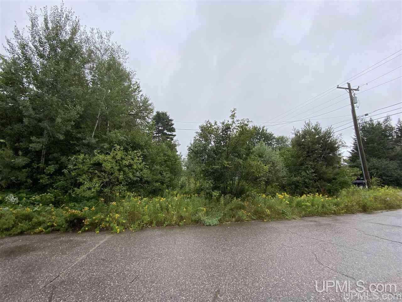 Tbd Tbd Steel Ishpeming, MI 49849 - Photo 4 of 5