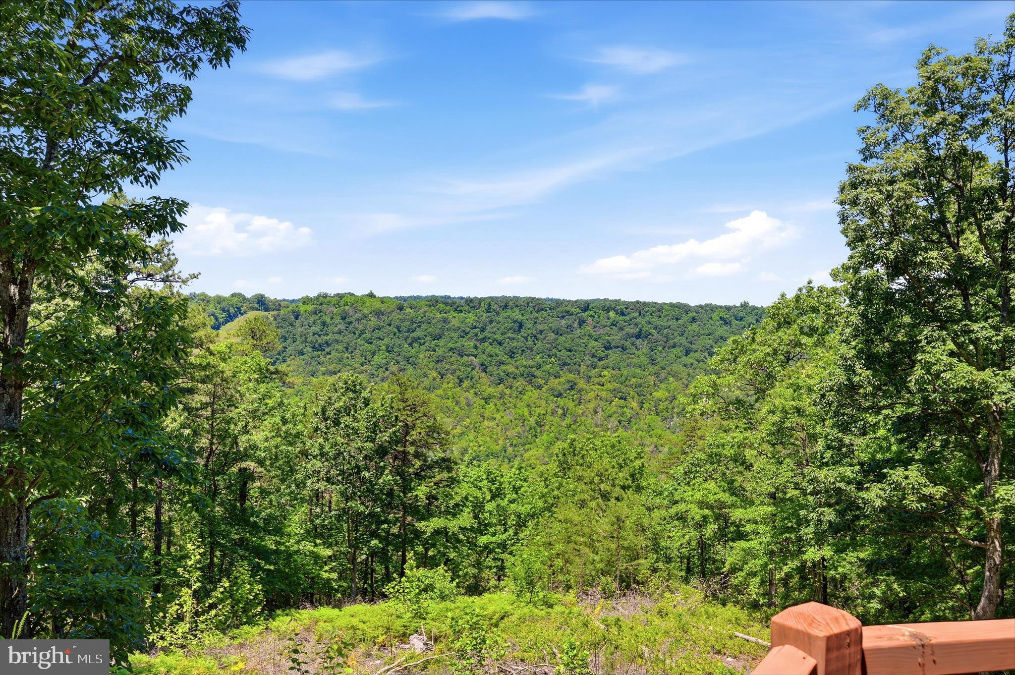 2315 Ritter Drive Yellow Spring, WV 26865 - Photo 48 of 90 Balcony View