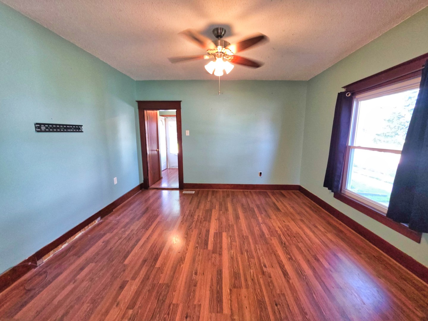 203 Fair Avenue Flora, IL 62839 - Photo 10 of 77