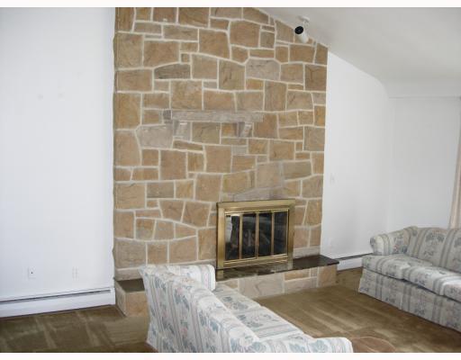 131 Pine Road Pittsburgh, PA 15237 - Photo 5 of 18 Living Room. Great floor to ceiling stone fireplace, gas burning. Slate hearth is the same slate under carpeting at entryway.