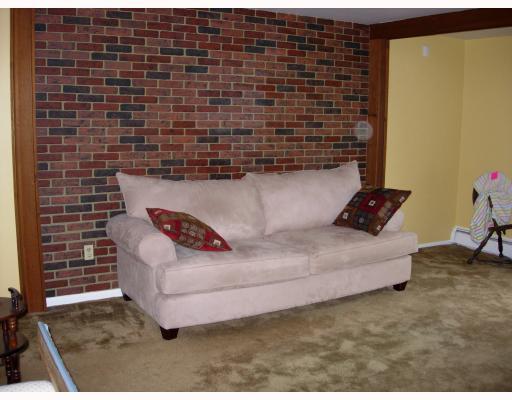 131 Pine Road Pittsburgh, PA 15237 - Photo 9 of 18 Den/Family/Great Room. One exposed brick wall in family room, classic for year house was built