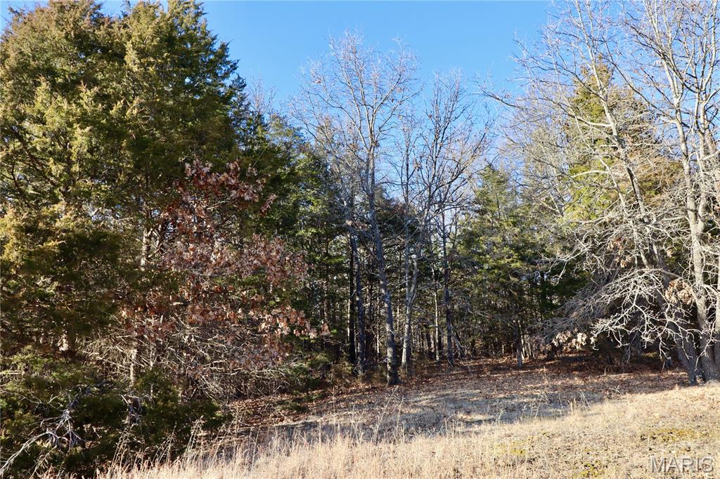 0 Cotrel Lane Falcon, MO 65470 - Photo 3 of 9