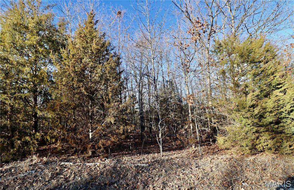 0 Cotrel Lane Falcon, MO 65470 - Photo 4 of 9