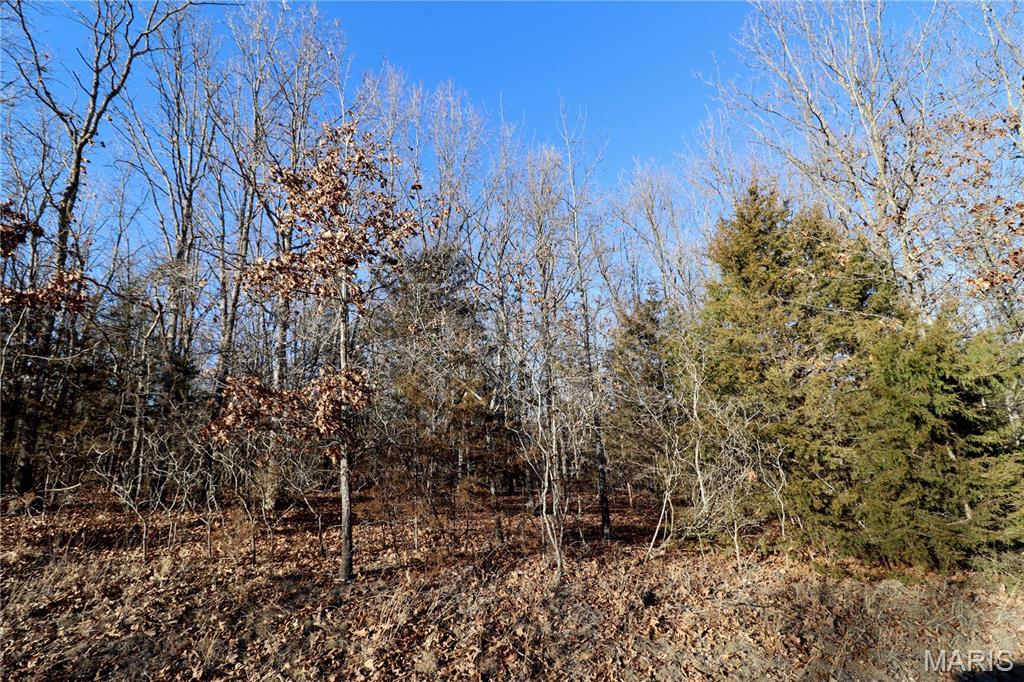 0 Cotrel Lane Falcon, MO 65470 - Photo 4 of 5