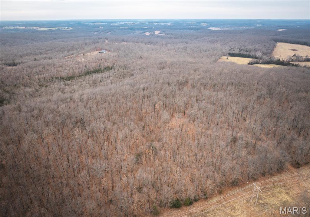 0 Cotrel Lane Falcon, MO 65470 - Photo 8 of 9