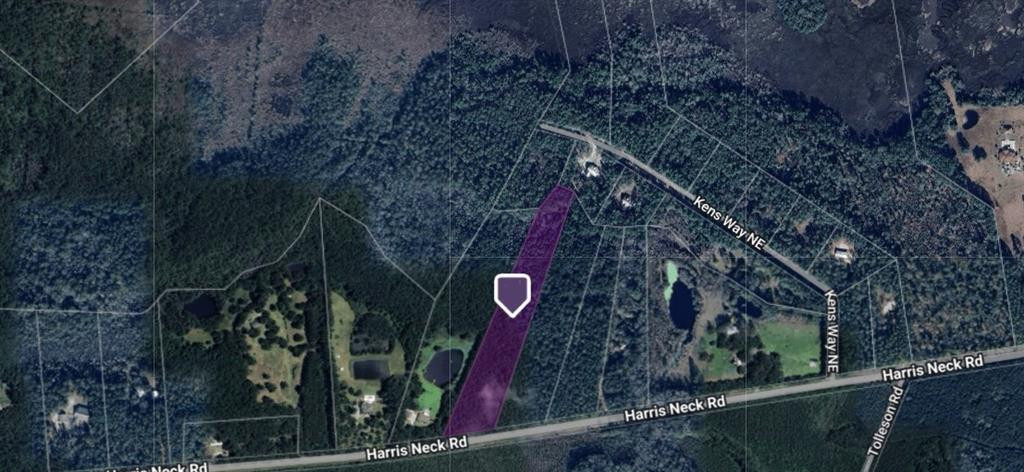 7.24-acres Harris Neck Road Northeast Townsend, GA 31331 - Photo 10 of 10