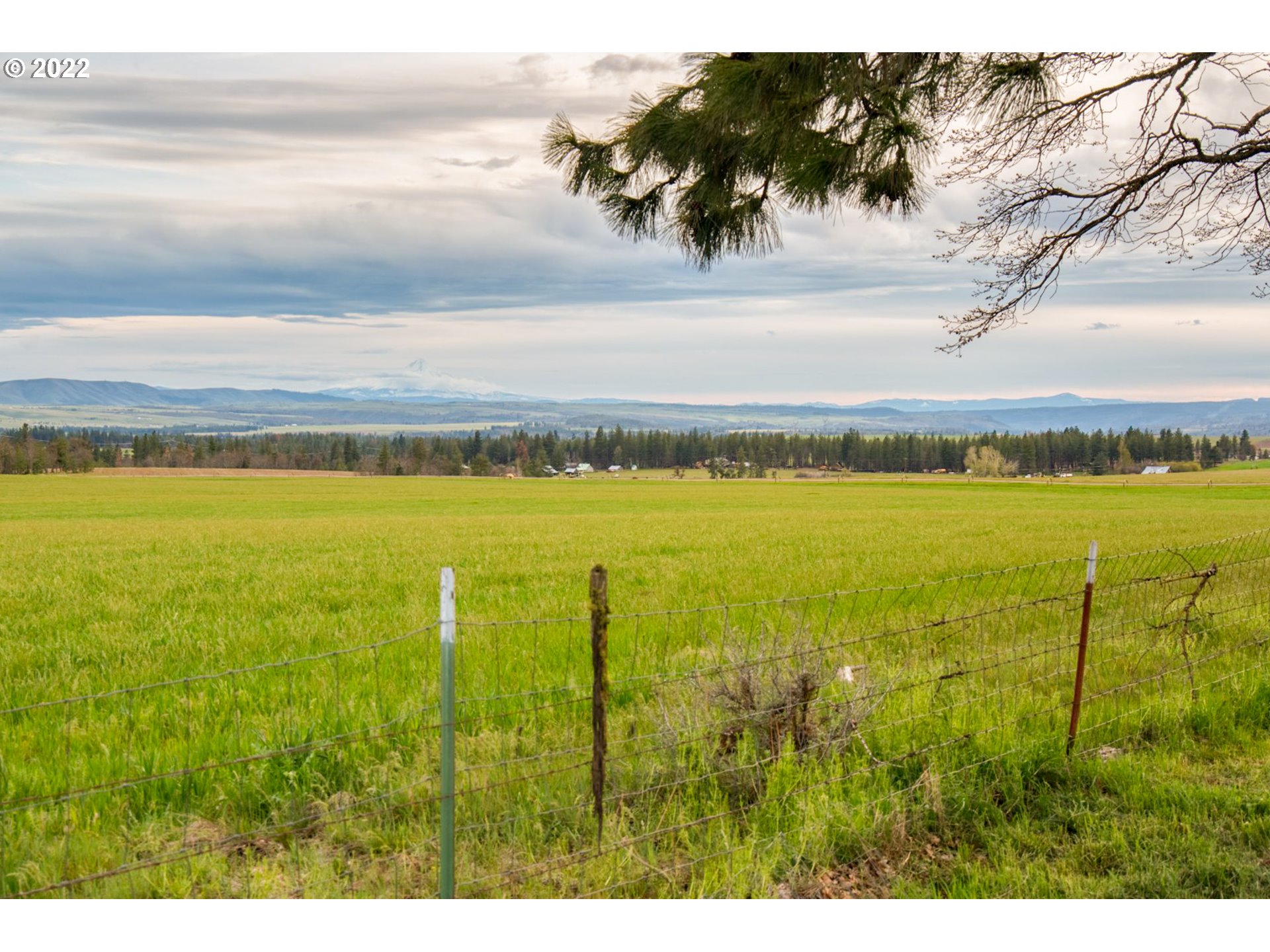 740 Turkey Ranch Road Goldendale, WA 98620 - Photo 18 of 31 Gallery Image 18