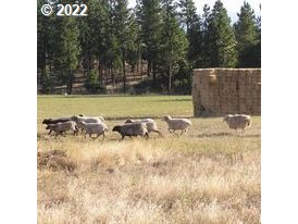 740 Turkey Ranch Road Goldendale, WA 98620 - Photo 2 of 31 Gallery Image 2