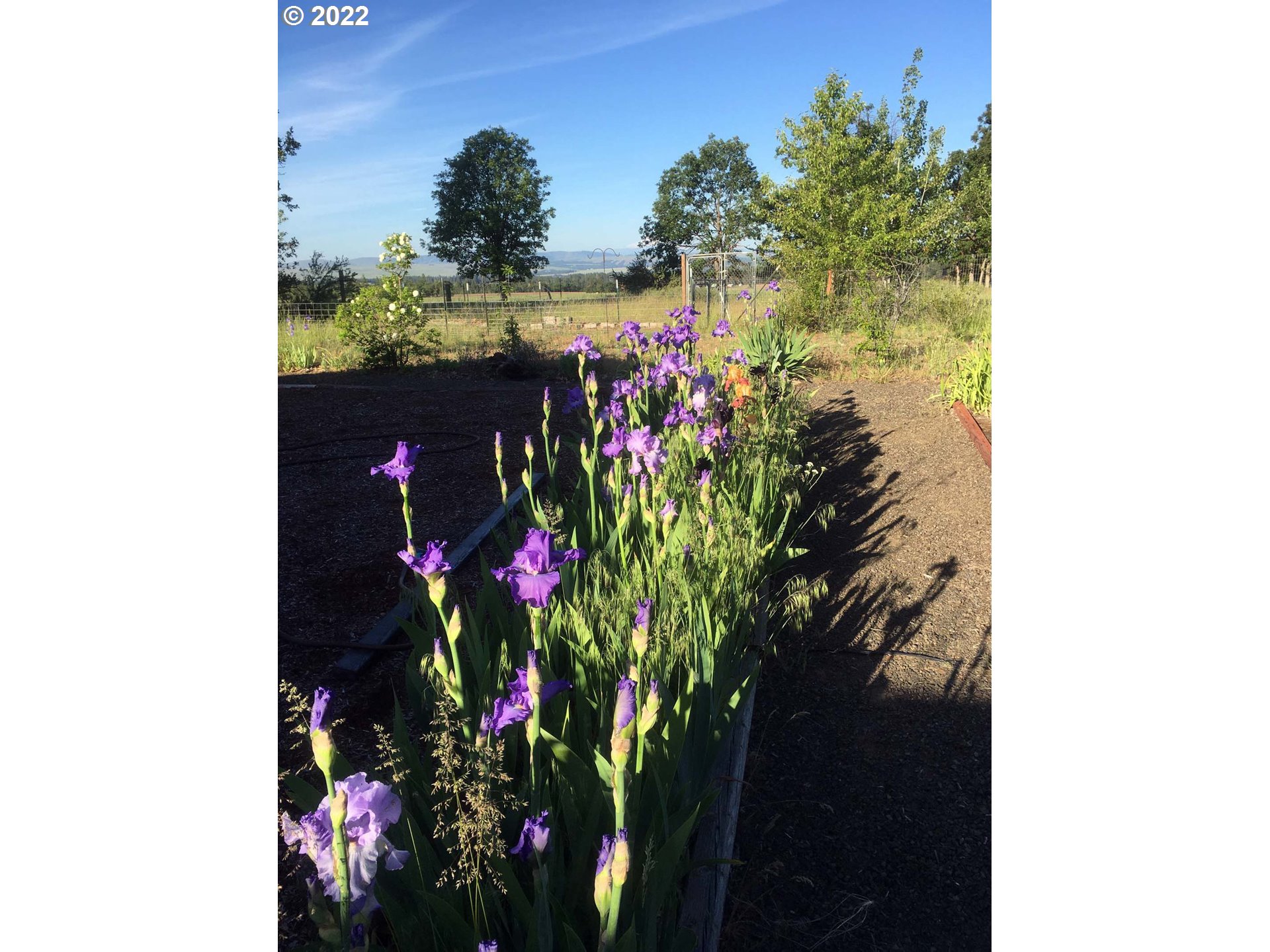 740 Turkey Ranch Road Goldendale, WA 98620 - Photo 22 of 31 Gallery Image 22