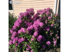 740 Turkey Ranch Road Goldendale, WA 98620 - Photo 23 of 31 Gallery Image 23