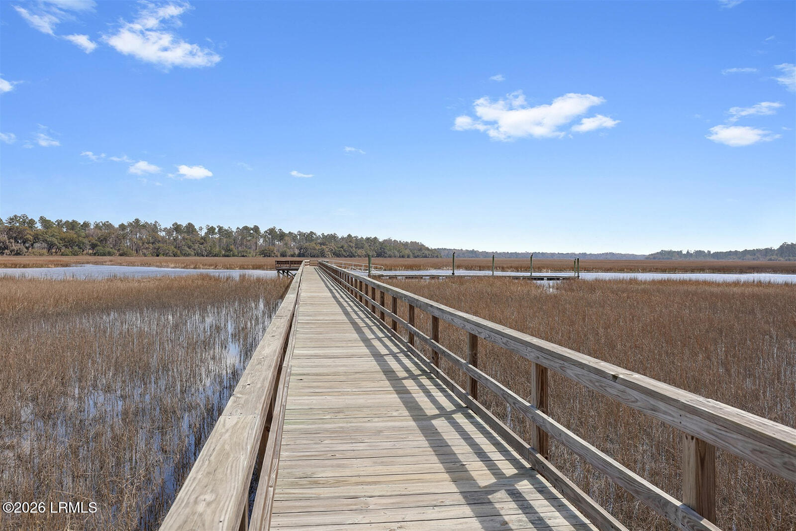 302 Twickenham Loop Yemassee, SC 29945 - Photo 25 of 26 IMG_3305_websize