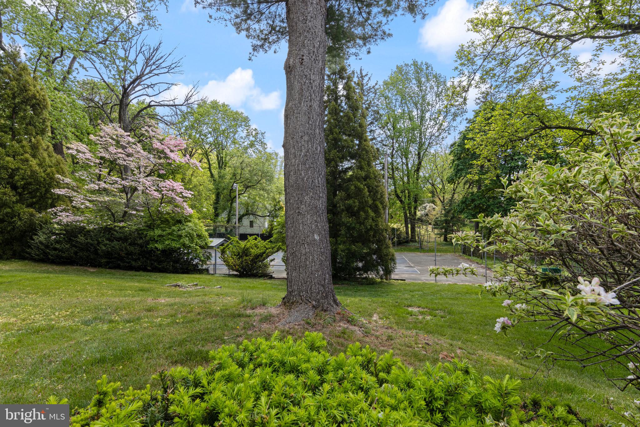 857 Meetinghouse Road Rydal, PA 19046 - Photo 89 of 93 a view of a backyard with large trees