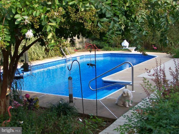 19413 Frederick Road Germantown, MD 20876 - Photo 30 of 30 Beautiful Pool