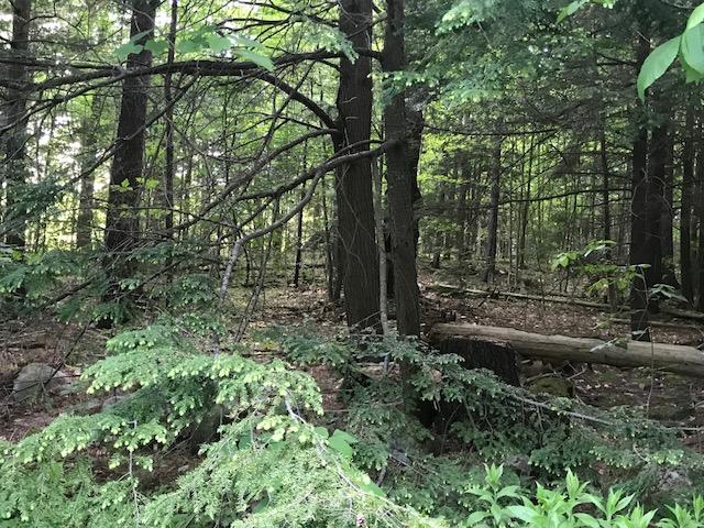 0 Hillside Road Brunswick, ME 04011 - Photo 1 of 7 IMG_7781