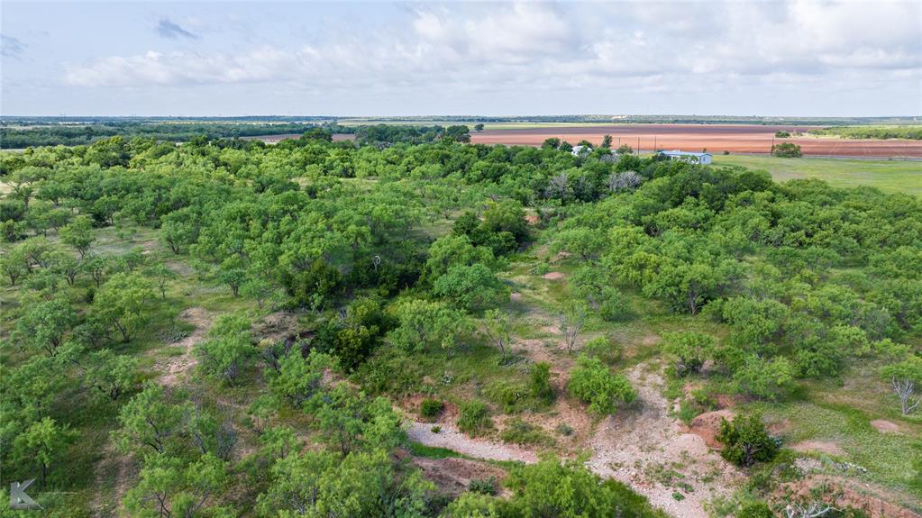 801 Highway 153 Wingate, TX 79566 - Photo 12 of 40