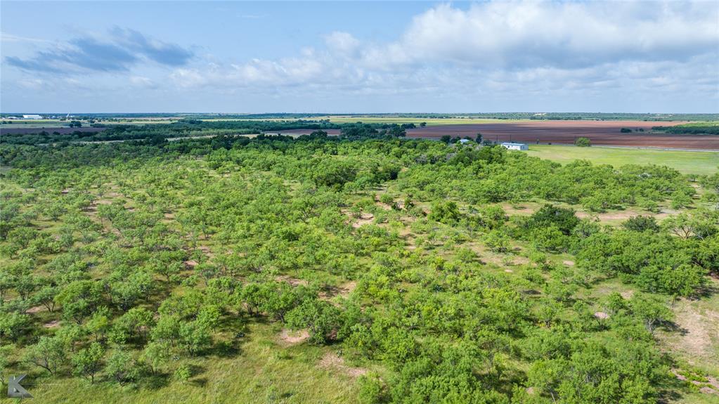 801 Highway 153 Wingate, TX 79566 - Photo 14 of 40