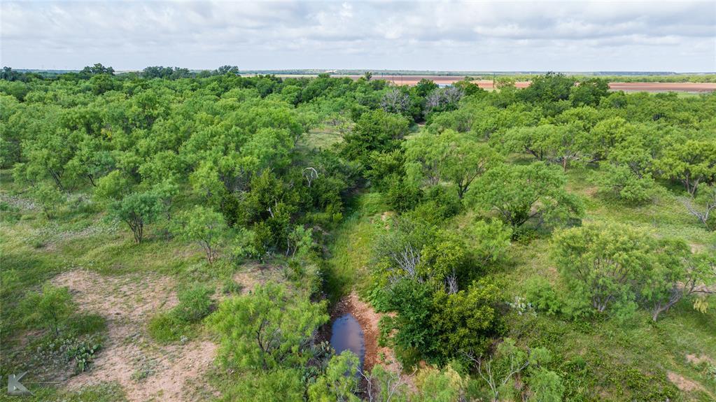 801 Highway 153 Wingate, TX 79566 - Photo 16 of 40