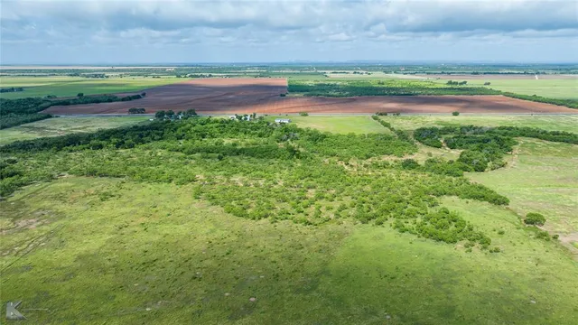 a view of a lush green space
