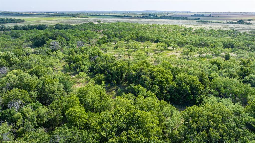 801 Highway 153 Wingate, TX 79566 - Photo 9 of 40