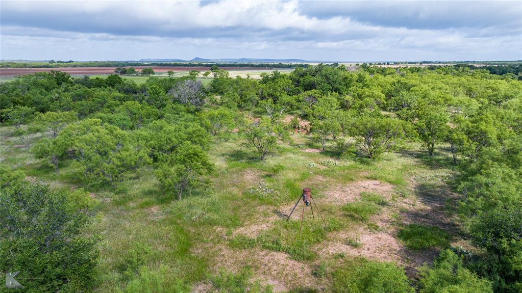 801 Highway 153 Wingate, TX 79566 - Photo 10 of 40