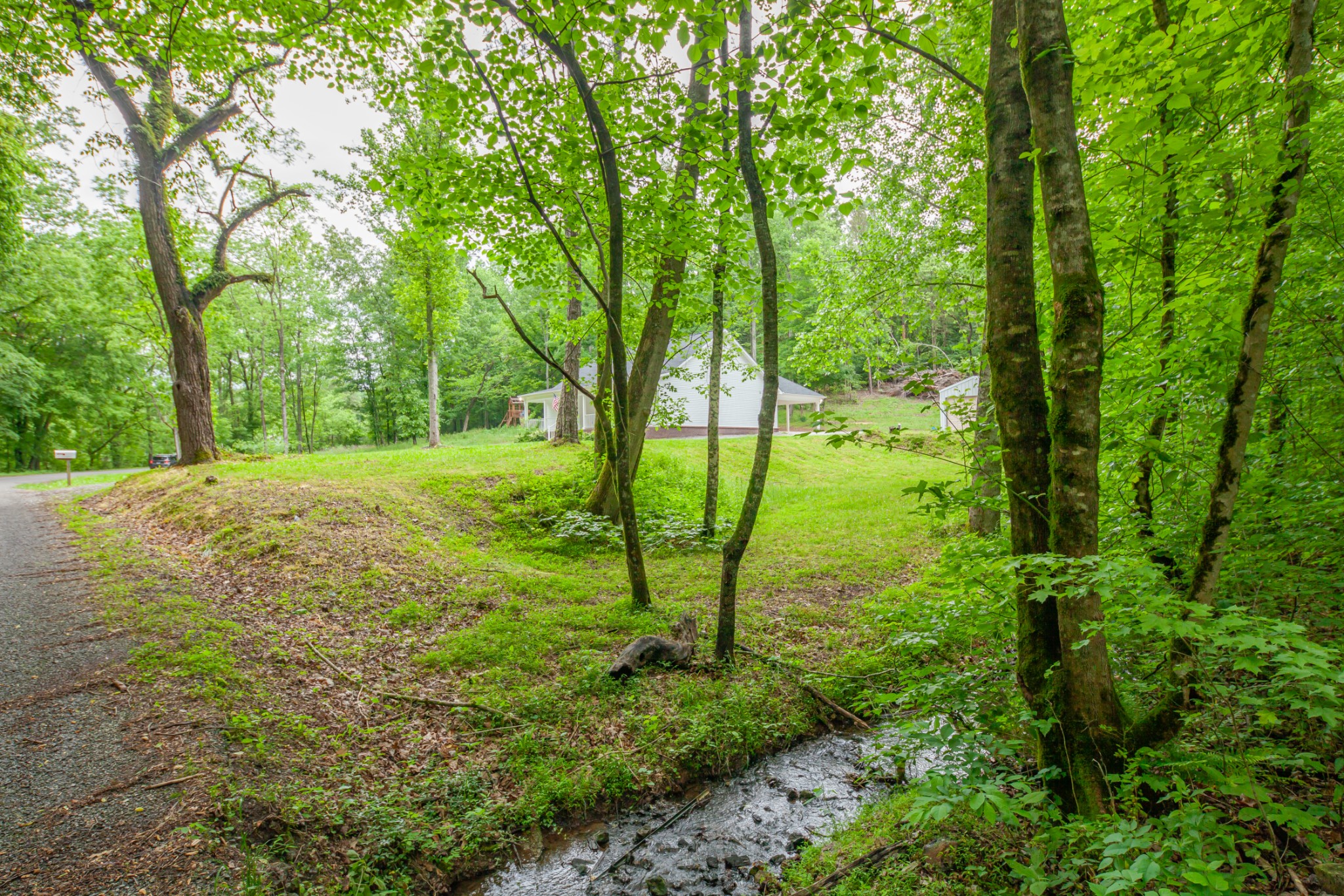 101 Henry Thompson Road Taft, TN 38488 - Photo 5 of 62 a big yard with lots of green space and trees
