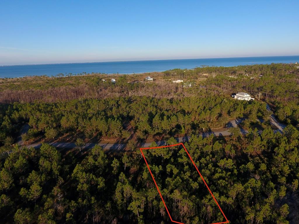 39 Shallow Reed Drive, Unit LOT 39 Quincy, FL 32351 - Photo 7 of 9