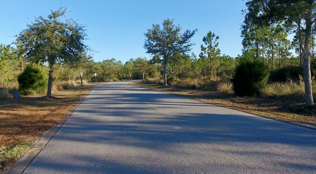 39 Shallow Reed Drive, Unit LOT 39 Quincy, FL 32351 - Photo 8 of 9