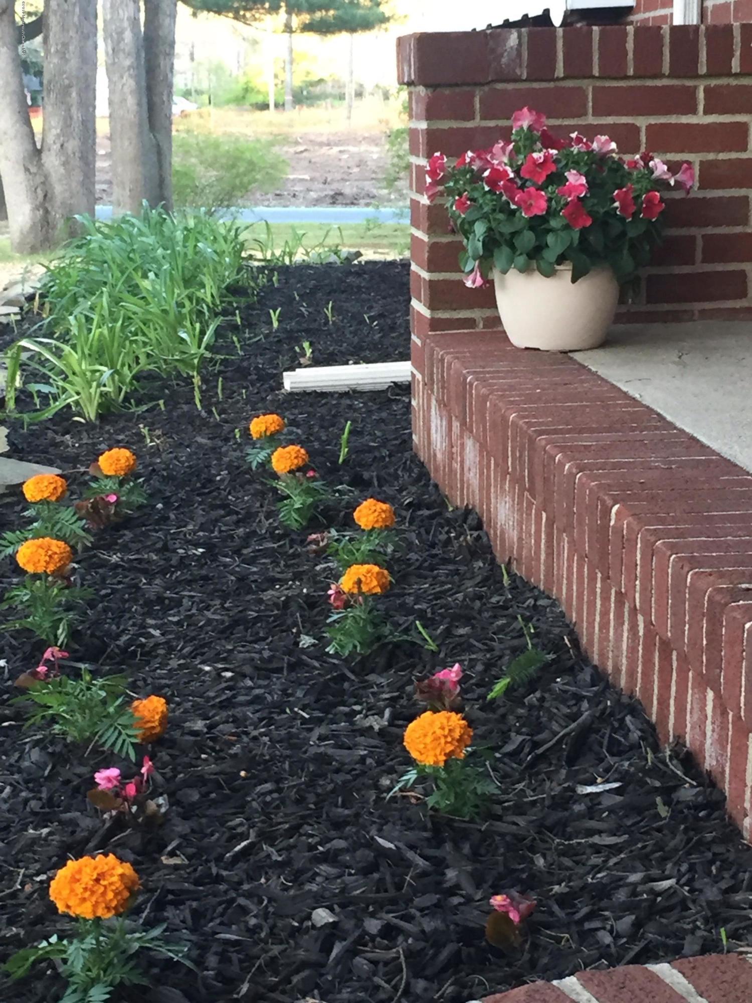 756 Gail Chambers Road Jackson, NJ 08527 - Photo 4 of 27 image