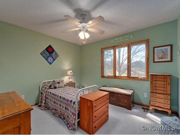 244 Falling Spring Road Waynesville, NC 28786 - Photo 11 of 16