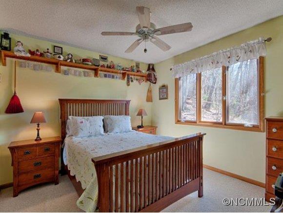244 Falling Spring Road Waynesville, NC 28786 - Photo 12 of 16